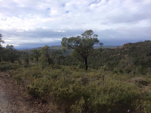 View from the Railway Reserves Heritage Trail on Day 1