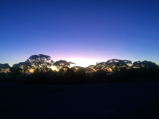 Cold Wheatbelt morning view on Day 5