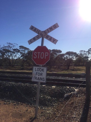 Day 8 Positive Mental Attitude road photo from near Noongaar
