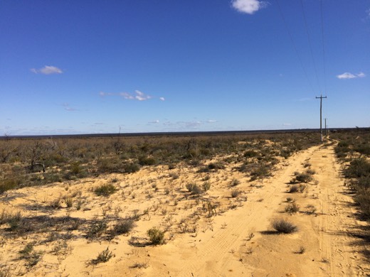 Wide sandy track and open country on Day 11