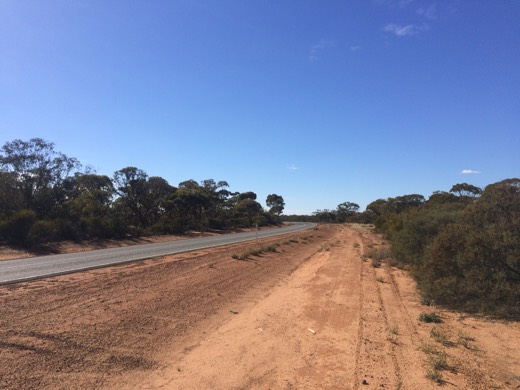 Blue sky, red dirt, and green bush after Boorabbin National Park