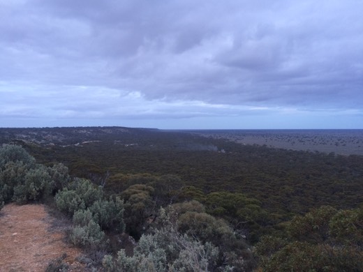 Wide view across the country below Madura Pass under a blue-grey sky