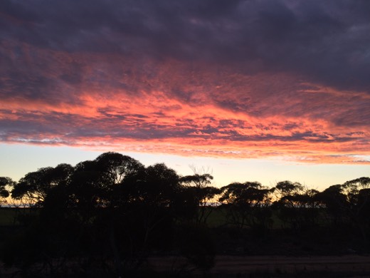 Pink sunrise cloud over South Australian wheat-belt country on Day 50
