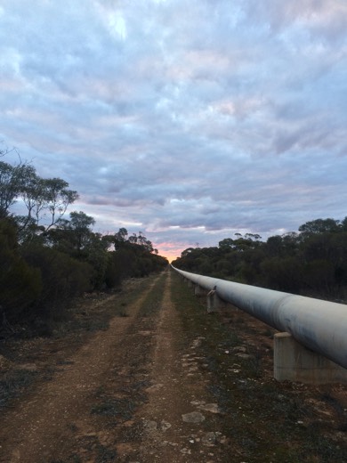 Water pipeline and track stretching into the evening light on Day 51
