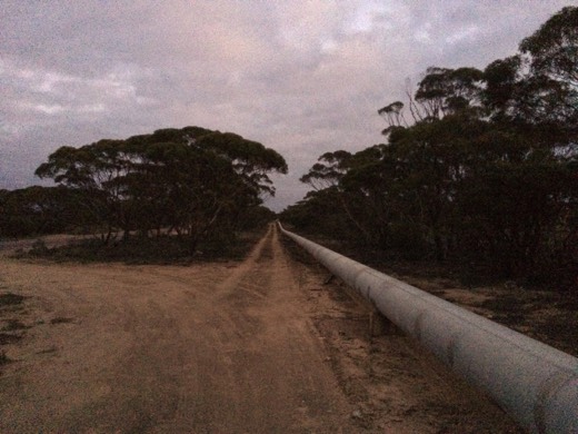 Pipeline track at first light on Day 53