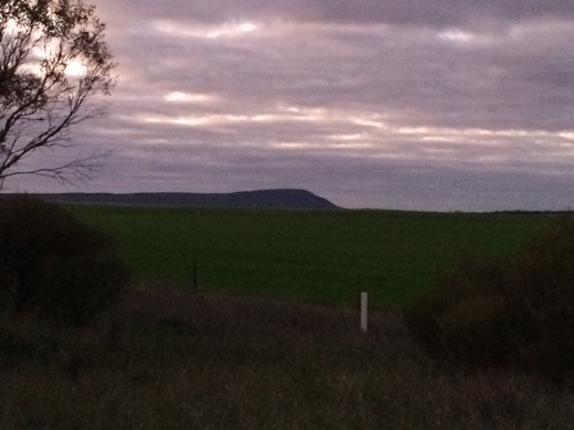 Green South Australian country and distant hills at first light on Day 54