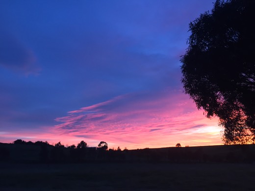 Pink and purple sunrise over South Australian farmland at the start of Day 67