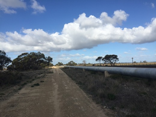 Pipeline and service track running beside the Dukes Highway