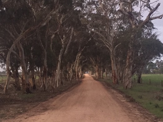 Hearts Across Australia Week 11 photo from 25 Jul 2015.