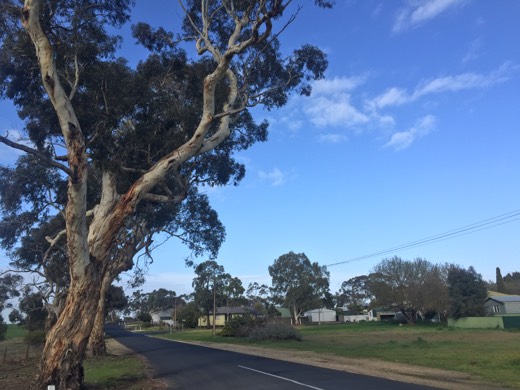 Hearts Across Australia Week 11 photo from 25 Jul 2015.