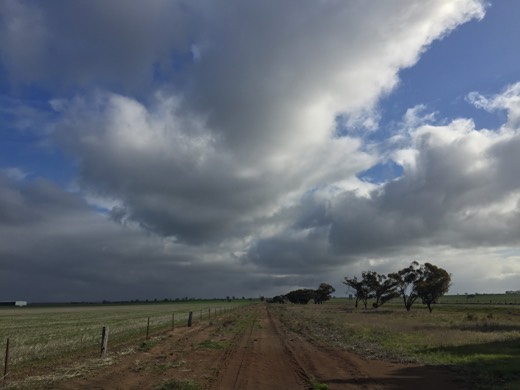 Hearts Across Australia Week 11 photo from 26 Jul 2015.