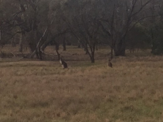 Hearts Across Australia Week 11 photo from 27 Jul 2015.