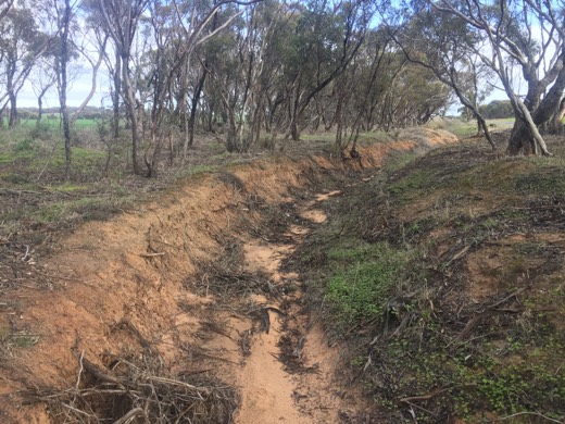 Hearts Across Australia Week 11 photo from 27 Jul 2015.