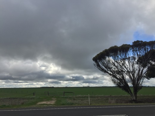 Hearts Across Australia Week 11 photo from 28 Jul 2015.
