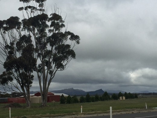 Hearts Across Australia Week 11 photo from 28 Jul 2015.