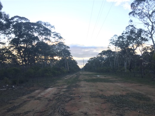 Hearts Across Australia Week 11 photo from 28 Jul 2015.