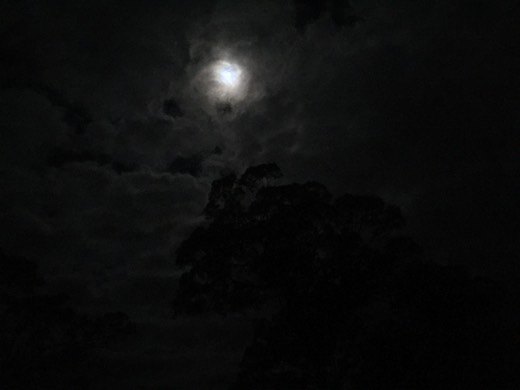 Hearts Across Australia Week 11 photo from 28 Jul 2015.
