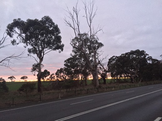 Hearts Across Australia Week 11 photo from 29 Jul 2015.
