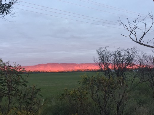 Hearts Across Australia Week 11 photo from 29 Jul 2015.