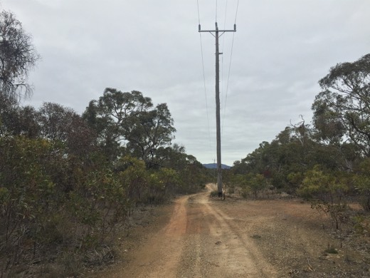 Hearts Across Australia Week 11 photo from 29 Jul 2015.