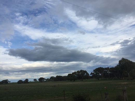Hearts Across Australia Week 11 photo from 30 Jul 2015.