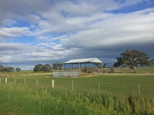 Hearts Across Australia Week 11 photo from 30 Jul 2015.