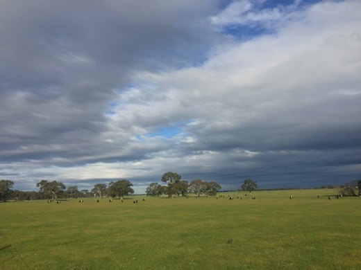 Hearts Across Australia Week 11 photo from 30 Jul 2015.