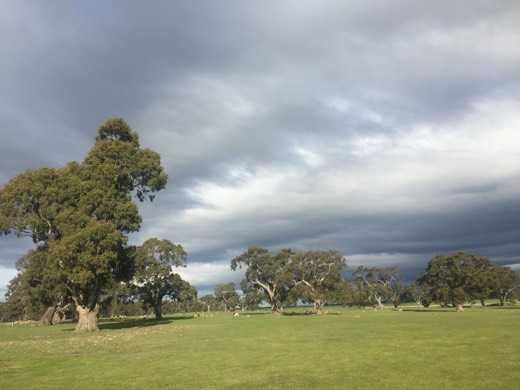 Hearts Across Australia Week 11 photo from 30 Jul 2015.