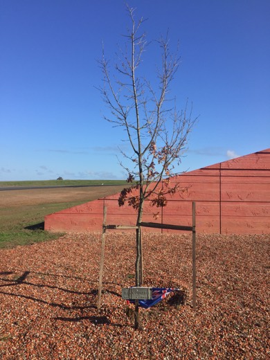 Hearts Across Australia Week 11 photo from 31 Jul 2015.