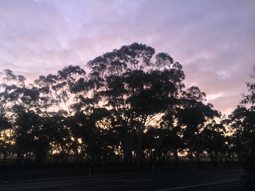 Hearts Across Australia Week 11 photo from 25 Jul 2015.