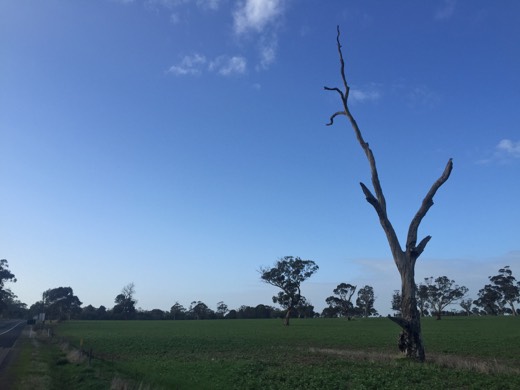 Hearts Across Australia Week 11 photo from 25 Jul 2015.