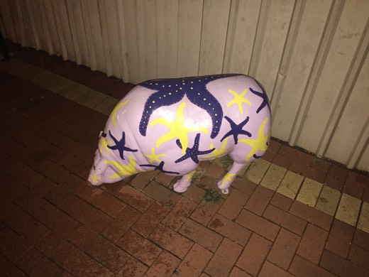 Hearts Across Australia Week 11 photo from 26 Jul 2015.