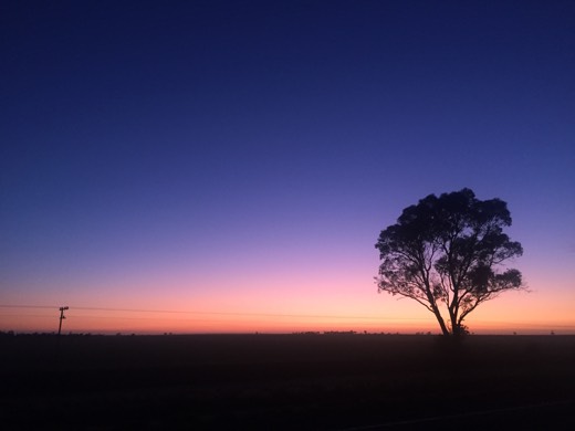 Hearts Across Australia Week 11 photo from 27 Jul 2015.