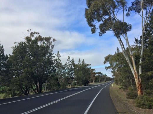Hearts Across Australia Week 11 photo from 27 Jul 2015.