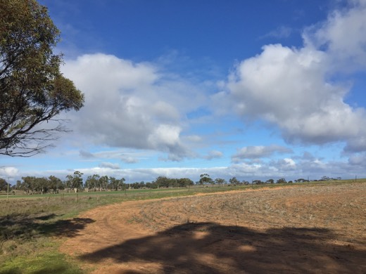 Hearts Across Australia Week 11 photo from 27 Jul 2015.