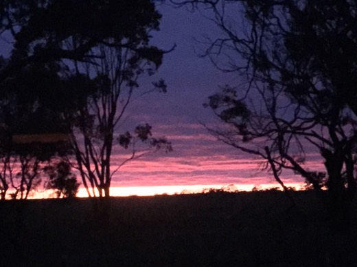 Hearts Across Australia Week 11 photo from 29 Jul 2015.