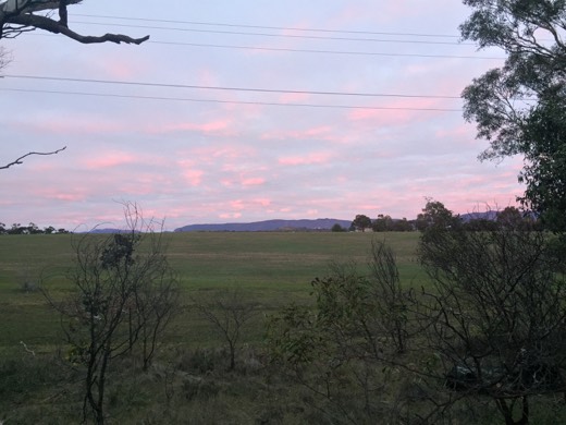 Hearts Across Australia Week 11 photo from 29 Jul 2015.
