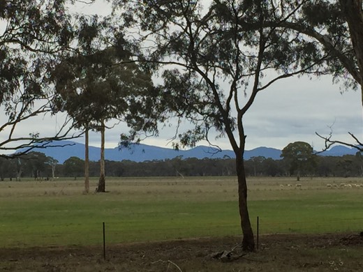 Hearts Across Australia Week 11 photo from 29 Jul 2015.