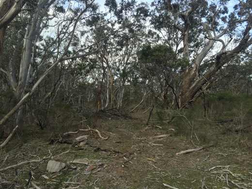 Hearts Across Australia Week 11 photo from 30 Jul 2015.