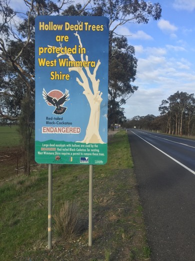 Hearts Across Australia Week 11 photo from 25 Jul 2015.