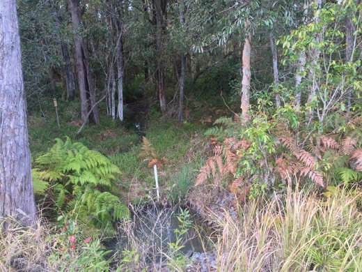 Hearts Across Australia Week 17 photo from 10 Sep 2015.