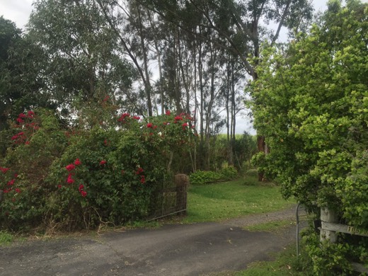 Hearts Across Australia Week 17 photo from 10 Sep 2015.