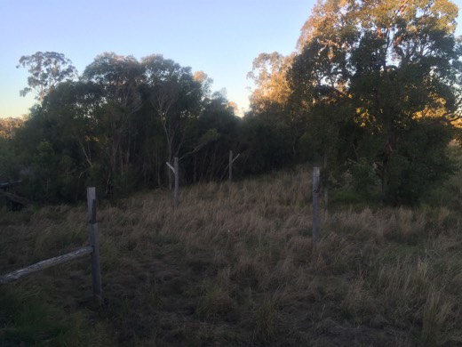 Hearts Across Australia Week 17 photo from 9 Sep 2015.